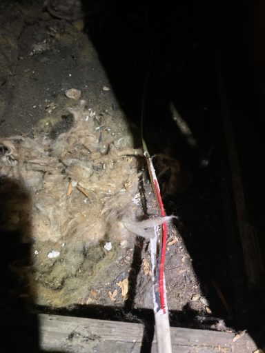 Squirrel-chewed electrical cable causing lighting fault in loft in Croydon